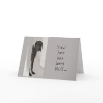Great Dane Pet Dog Your Loss is Ruff Card