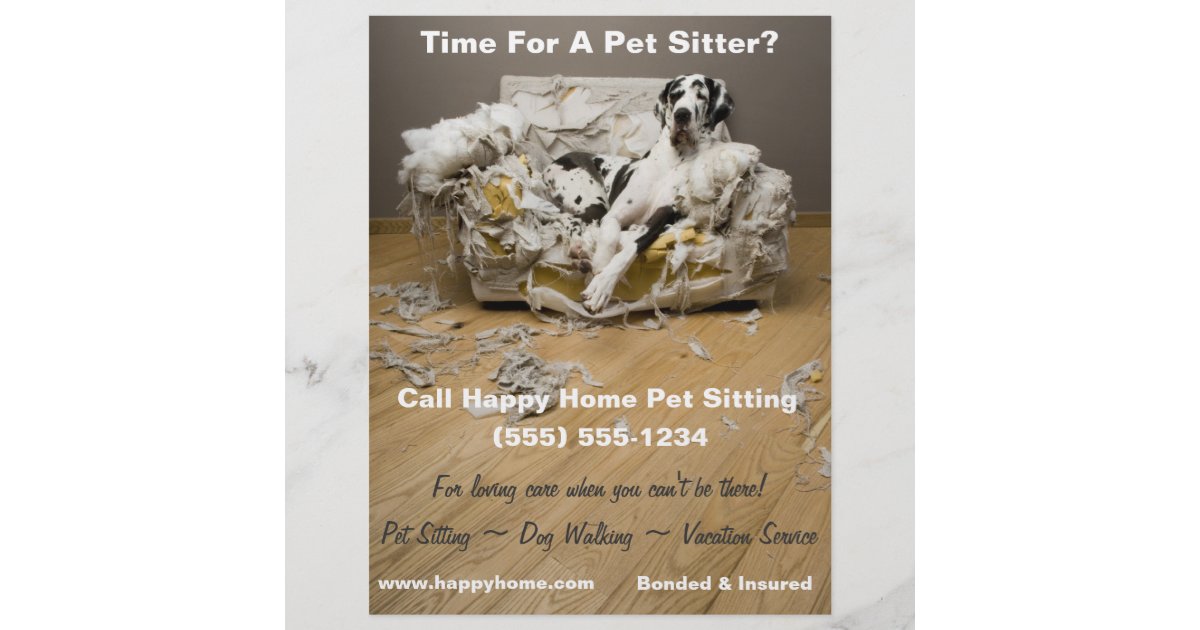 great dane pet sitting flyer zazzle com