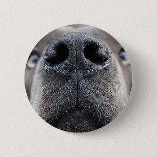 Great Dane Photo  Button