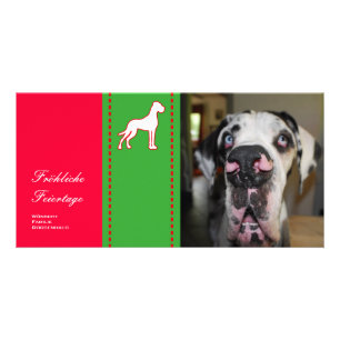 Great Dane Photo Cards