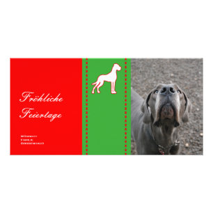 Great Dane Photo Cards