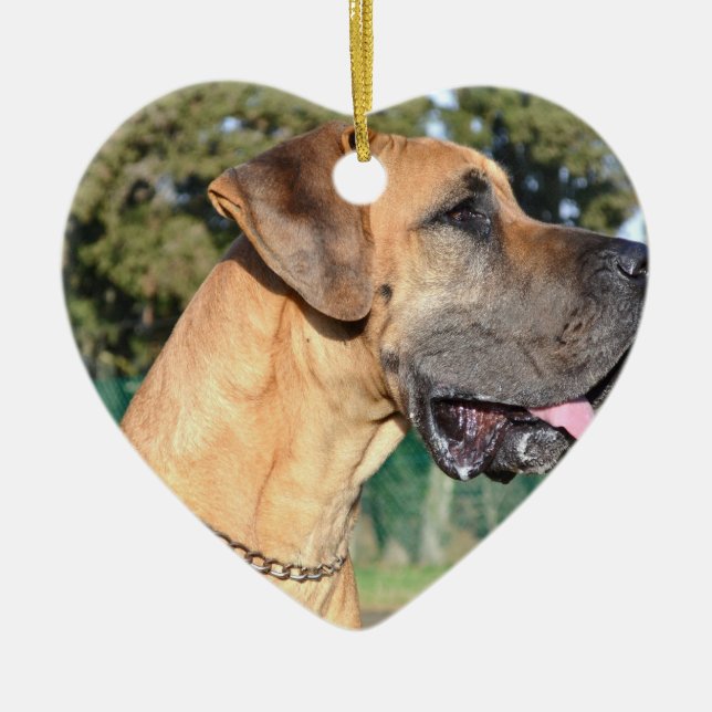 Great Dane Photo Ornaments (Front)