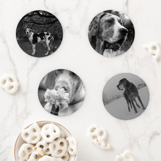 Great Dane Photography Black White Coaster Set