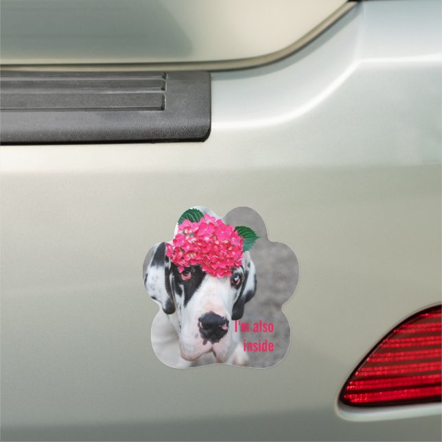 Great Dane Photography Car Magnet (In Situ)