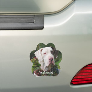 Great Dane Photography Car Magnet