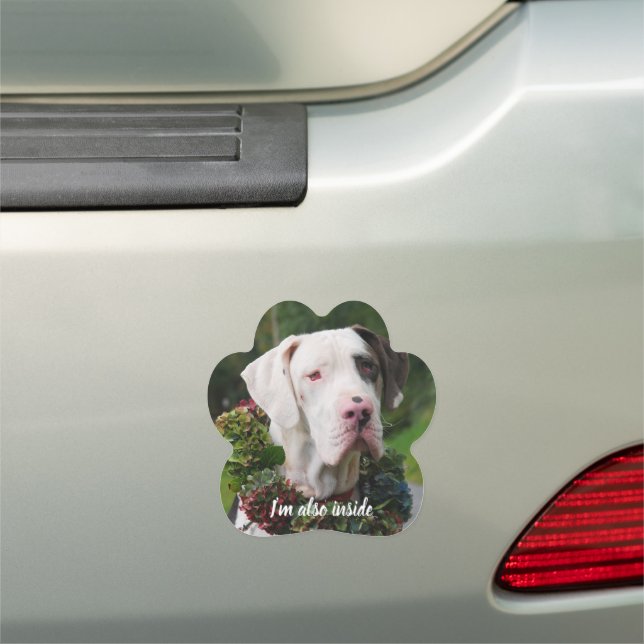 Great Dane Photography Car Magnet (In Situ)