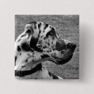 GREAT DANE PINBACK BUTTON