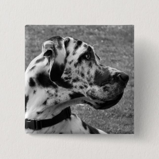 GREAT DANE PINBACK BUTTON (Front)