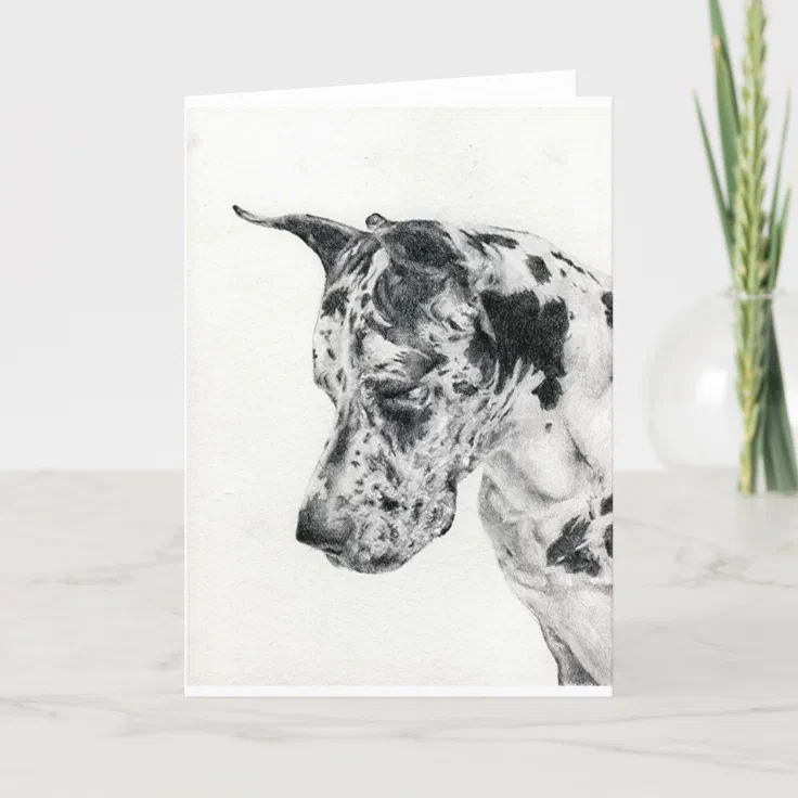 Great Dane Portrait Blank Greeting Card Zazzle