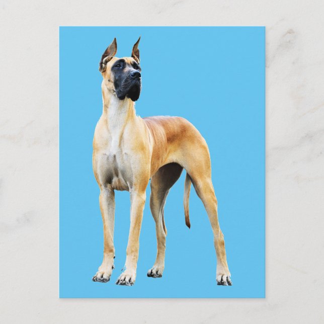Great Dane Postcard (Front)