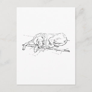 Great Dane Postcard, Ink Dog Illustration Holiday Postcard
