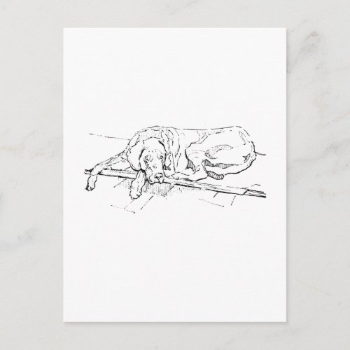 Great Dane Postcard, Ink Dog Illustration Postcard