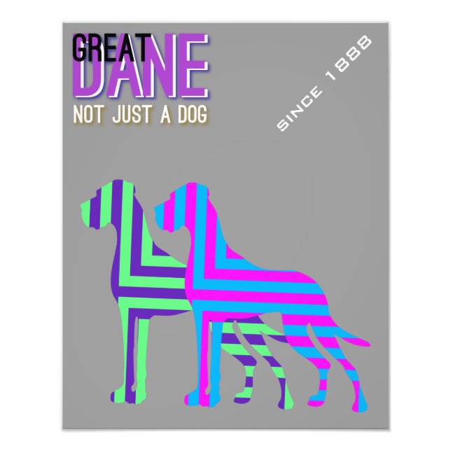 Great Dane Poster (Front)