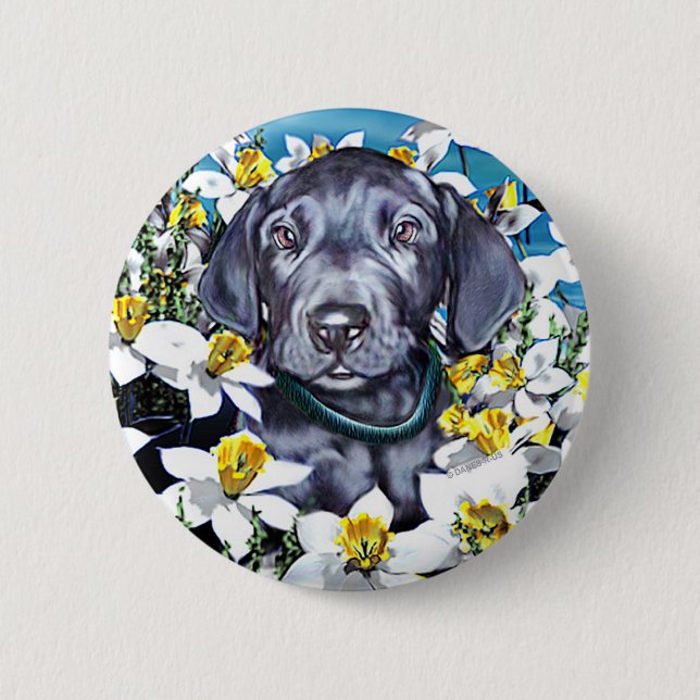 Great Dane Pup in Daffodils Blue Pinback Button (Front)