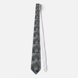 Great Dane Pup Tie