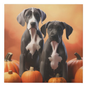 Great Dane Puppy Autumn Delight Pumpkin Faux Canvas Print