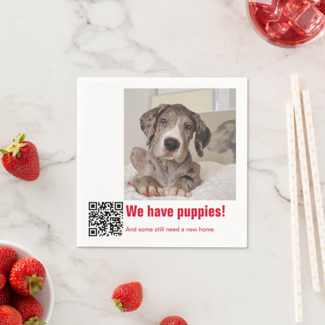 Great Dane Puppy for sale Napkins (Insitu)