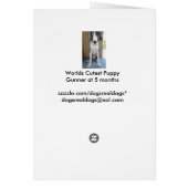 Great Dane Puppy Gunner's Goofy Face (Back)