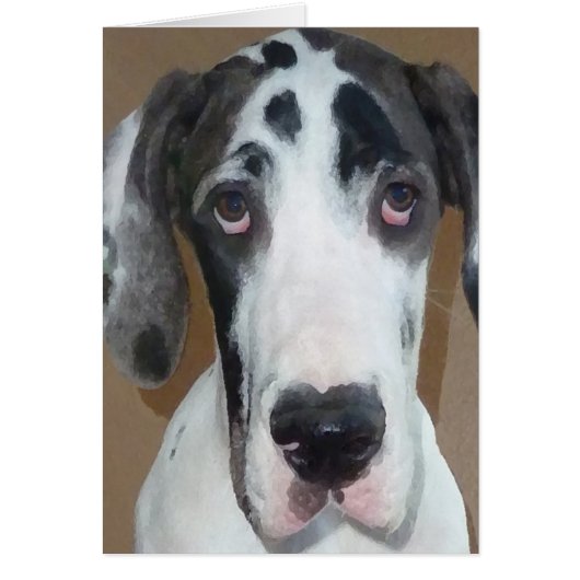 Great Dane Puppy Gunner's Goofy Face Cards (Front)