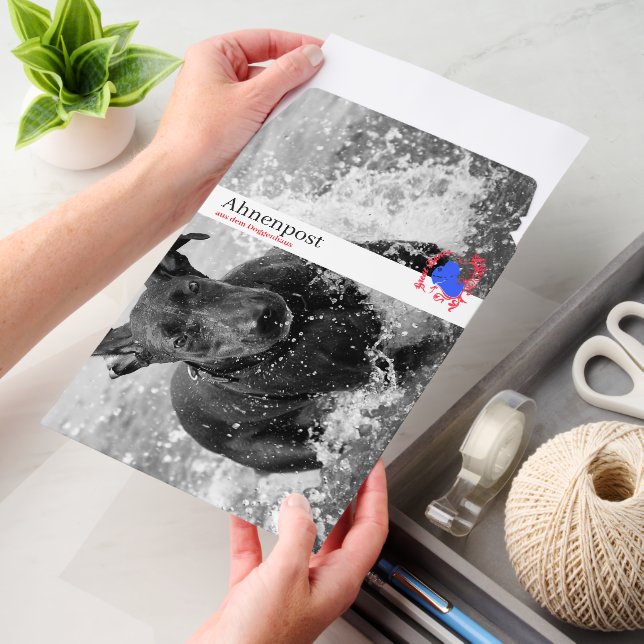 Great Dane Puppy Kit Envelope Printed Mailers (Desk)