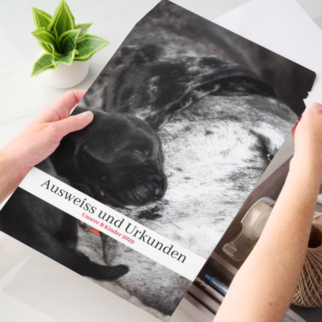 Great Dane Puppy Kit Envelope Printed Mailers (Desk)