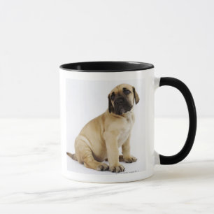 Great Dane Puppy Sitting in Studio Mug