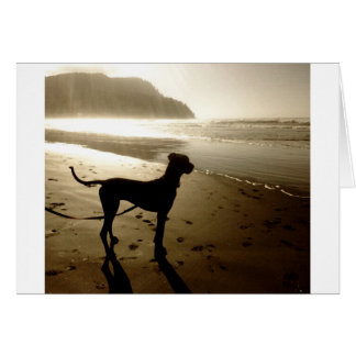 Great Dane Puppy Sunset Cards