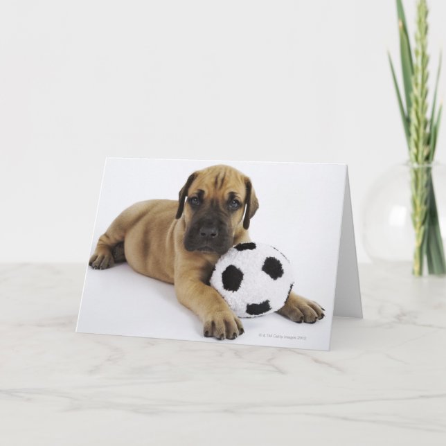 Great Dane Puppy with Soccer Ball Card (Front)