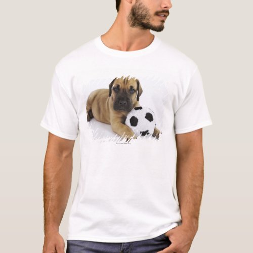 Great Dane puppy with toy soccer ball T_Shirt