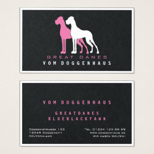 Great Dane pure