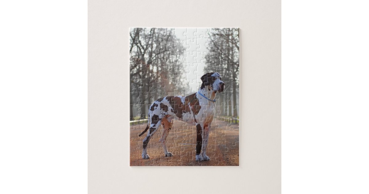 Great Dane Puzzle Zazzle