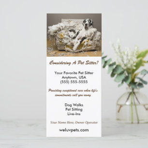 Great Dane Relaxed on Chewed Sofa Pet Sitter