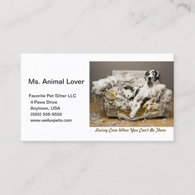 Great Dane Relaxing on Chewed Sofa White Business Card (Front)