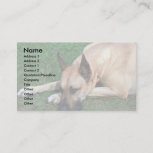 Great Dane resting Business Card