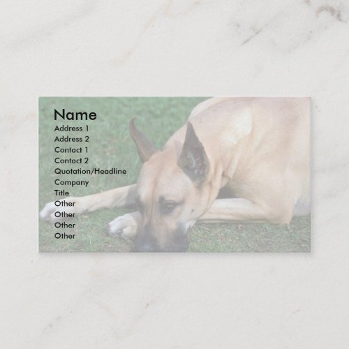 Great Dane resting Business Cards