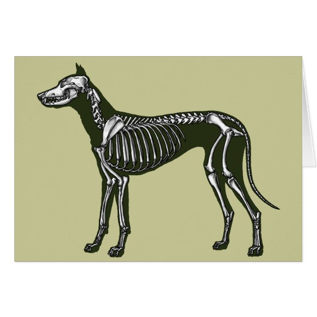 Great Dane skeleton Cards (Front Horizontal)