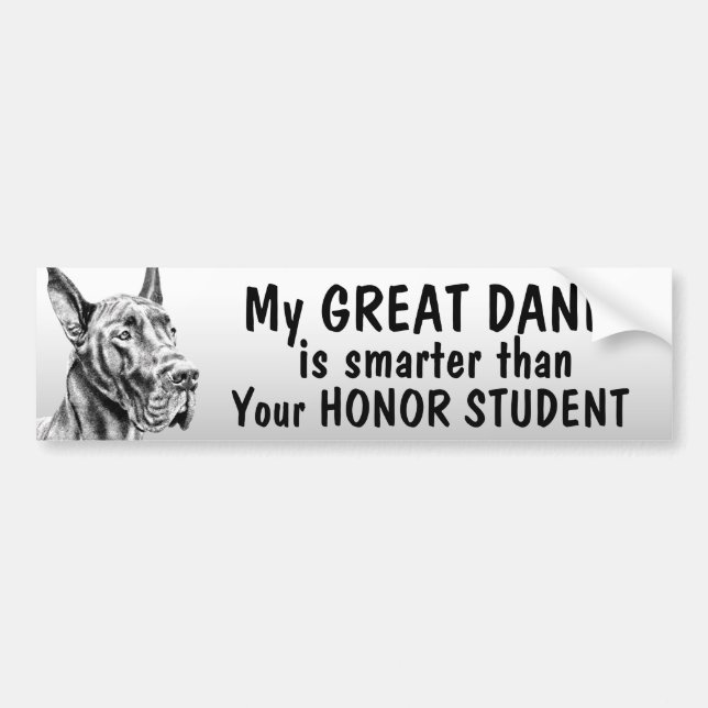 Great Dane - Smarter than honor student - funny Bumper Sticker (Front)