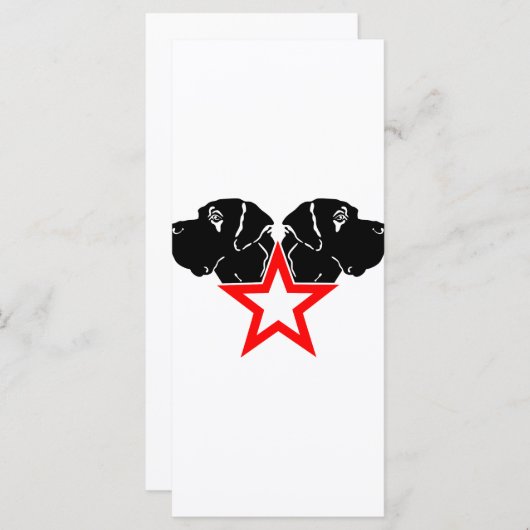 Great Dane Star Head (Front/Back)