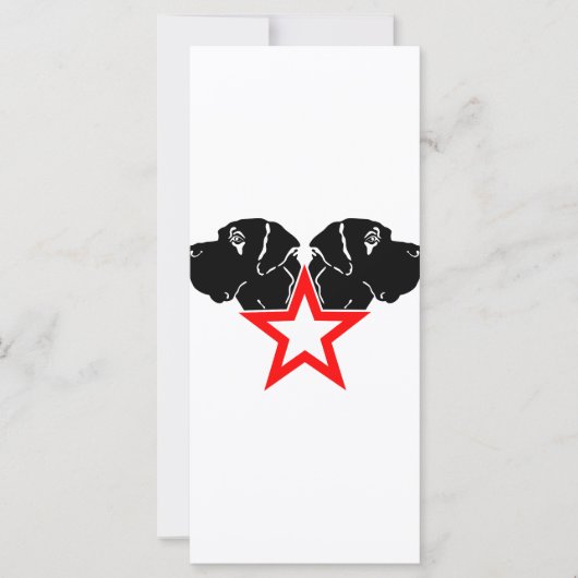 Great Dane Star Head (Front)