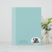 Great Dane Taped Up Merle (Standing Front)