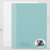 Great Dane Taped Up Merle (Front/Back)