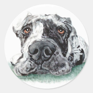 Great Dane Taped Up Merle Classic Round Sticker