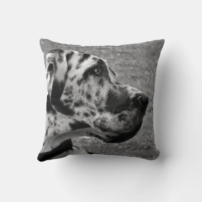 GREAT DANE THROW PILLOW (Back)
