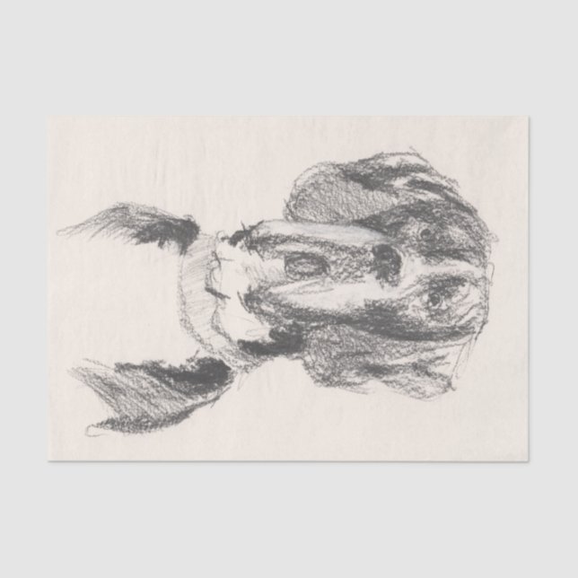 Great Dane Tissue Paper (Front)