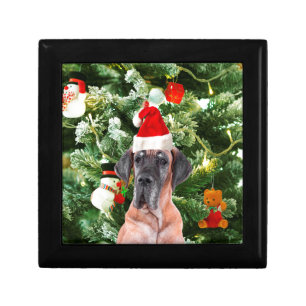 Great Dane w Christmas Tree Gift Boxes Santa Hat