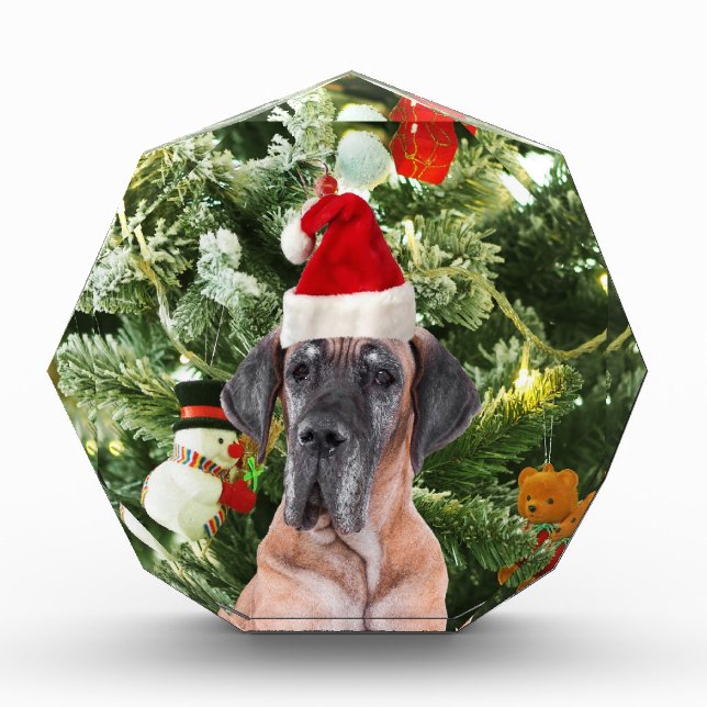 Great Dane w Christmas Tree Gift Boxes Santa Hat (Front)