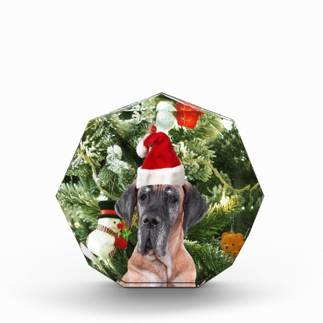 Great Dane w Christmas Tree Gift Boxes Santa Hat (Front)