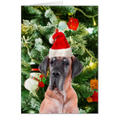 Great Dane w Christmas Tree Gift Boxes Santa Hat (Front)