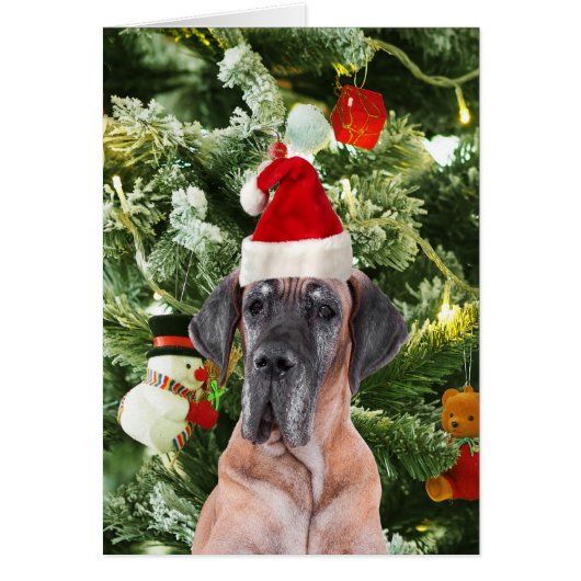Great Dane w Christmas Tree Gift Boxes Santa Hat (Front)