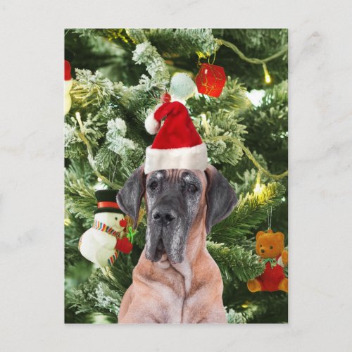 Great Dane w Christmas Tree Gift Boxes Santa Hat Holiday Postcard